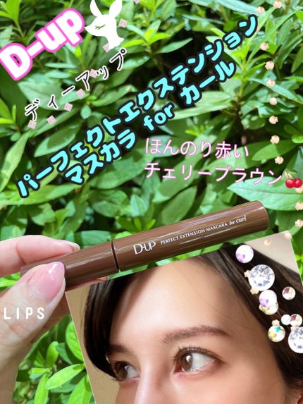 パーフェクトエクステンション マスカラ for カール/D-UP/マスカラを使ったクチコミ(1枚目)