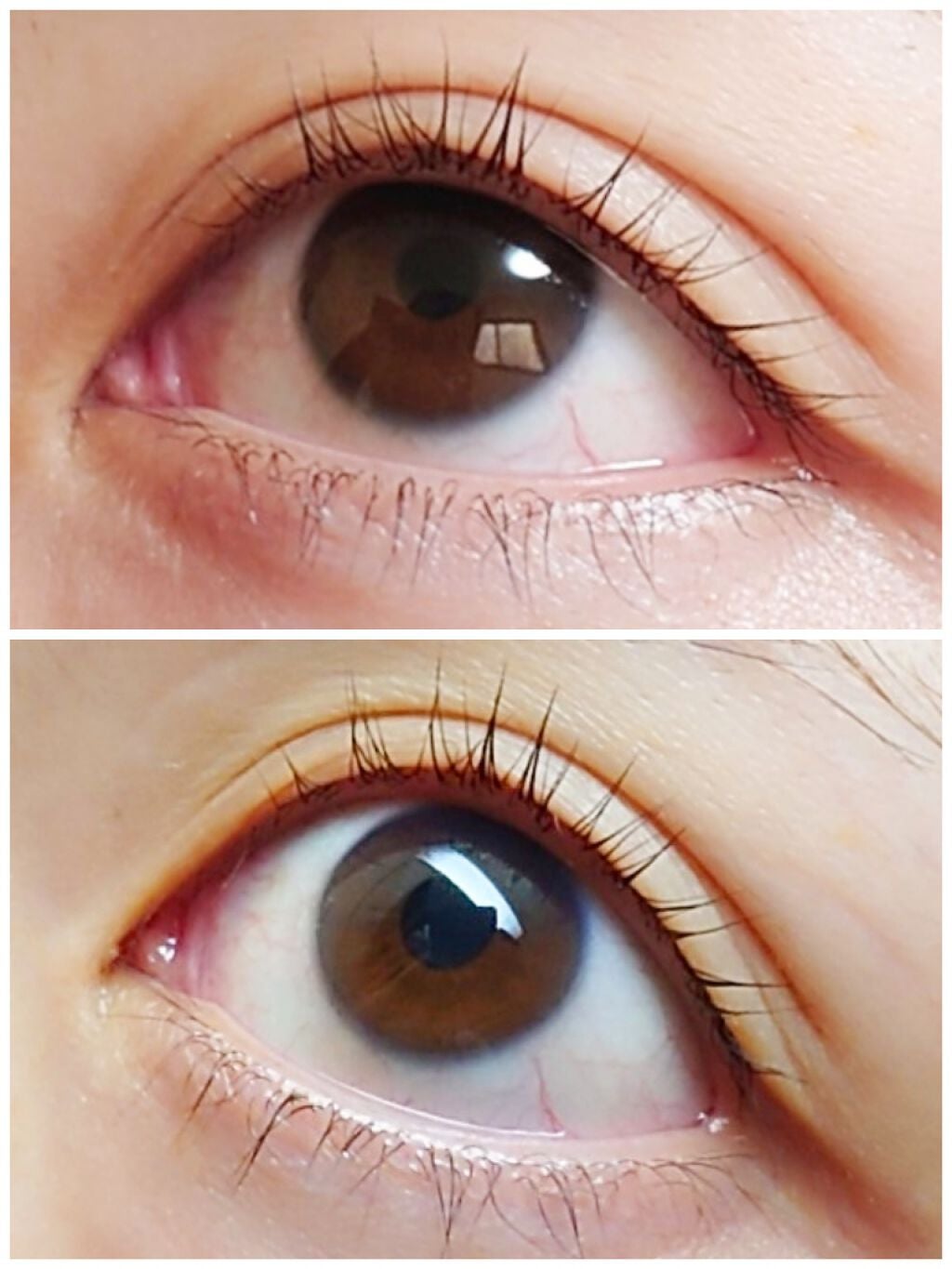 EMAKED(エマーキット)/水橋保寿堂製薬/まつげ美容液を使ったクチコミ(1枚目)