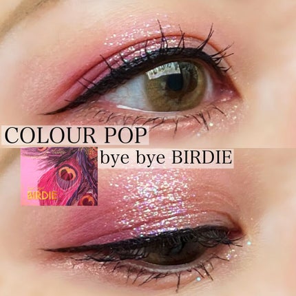 BYE BYE BIRDIE/ColourPop/アイシャドウパレットを使ったクチコミ(1枚目)