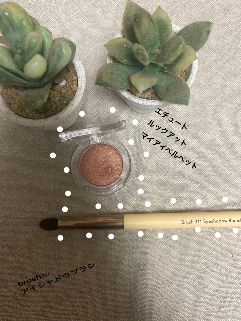 ルックアット マイアイベルベット/ETUDE/単色アイシャドウを使ったクチコミ（1枚目）