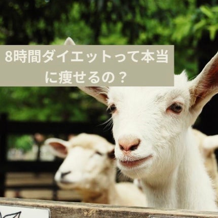 寝ながらメディキュット フルレッグ/メディキュット/着圧ソックス・レギンスを使ったクチコミ(1枚目)