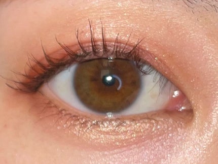 ディオール バックステージ アイ パレット/Dior/アイシャドウパレットを使ったクチコミ(5枚目)