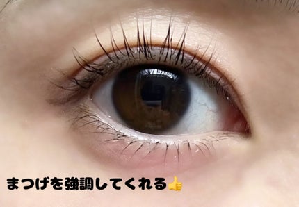 ウォンジョンヨ ヌードアイラッシュ/Wonjungyo/マスカラを使ったクチコミ(4枚目)