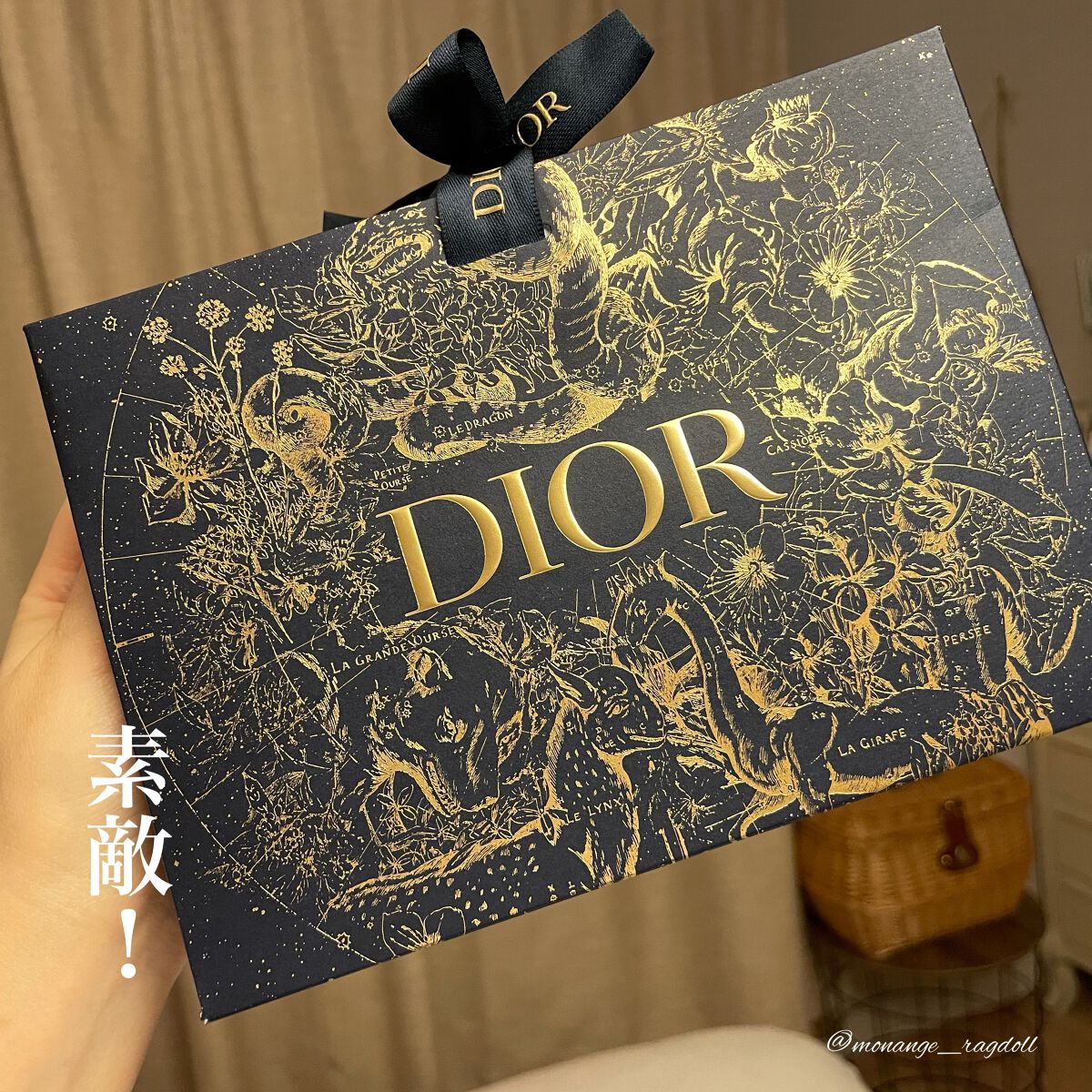 ディオール バックステージ フェイス グロウ パレット/Dior/ハイライトを使ったクチコミ(1枚目)