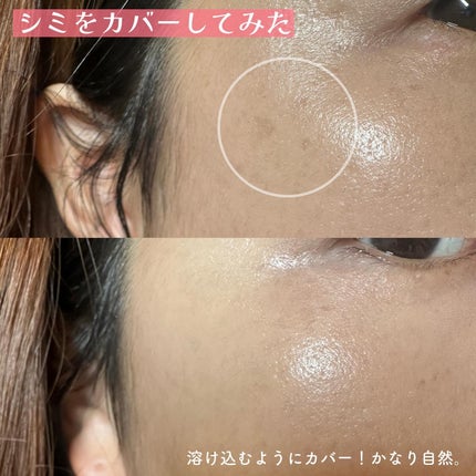 コンシールブレンダーパレット/LUNA/パレットコンシーラーを使ったクチコミ(7枚目)