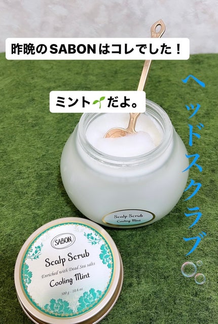 ヘッドスクラブ リフレッシング(ミント)/SABON/ヘッドスクラブを使ったクチコミ(1枚目)