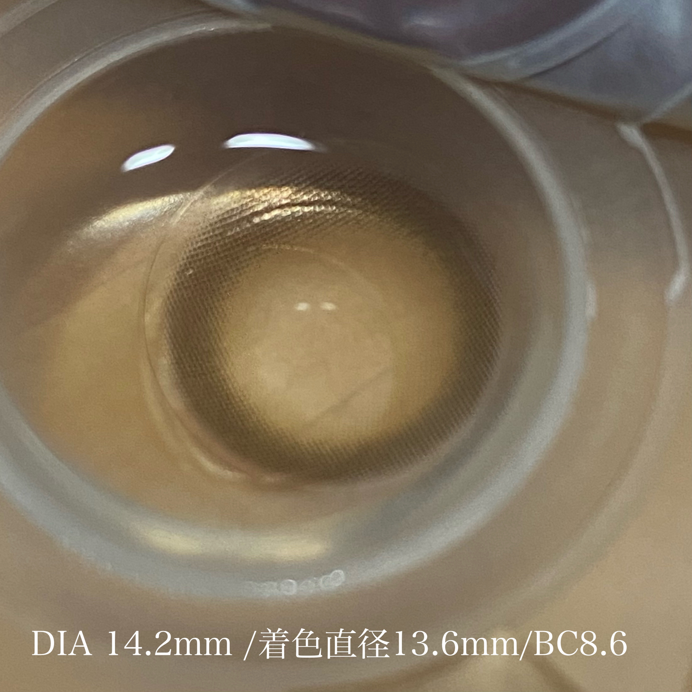 Dear Deer Kristen 1month/Hapa kristin/ワンデー（１DAY）カラコンを使ったクチコミ（3枚目）