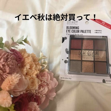 UR GLAM　BLOOMING EYE COLOR PALETTE/U R GLAM/アイシャドウパレットを使ったクチコミ（1枚目）