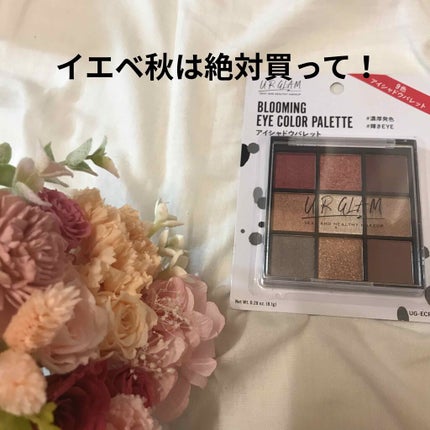 UR GLAM BLOOMING EYE COLOR PALETTE/U R GLAM/アイシャドウパレットを使ったクチコミ(1枚目)
