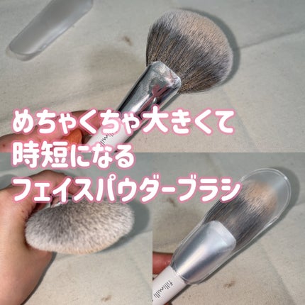 FilliMilli ビッグファンブラシ851/fillimilli/メイクブラシを使ったクチコミ(1枚目)