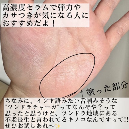 Pressed Serum Tundra chaga/BLITHE/美容液を使ったクチコミ(5枚目)