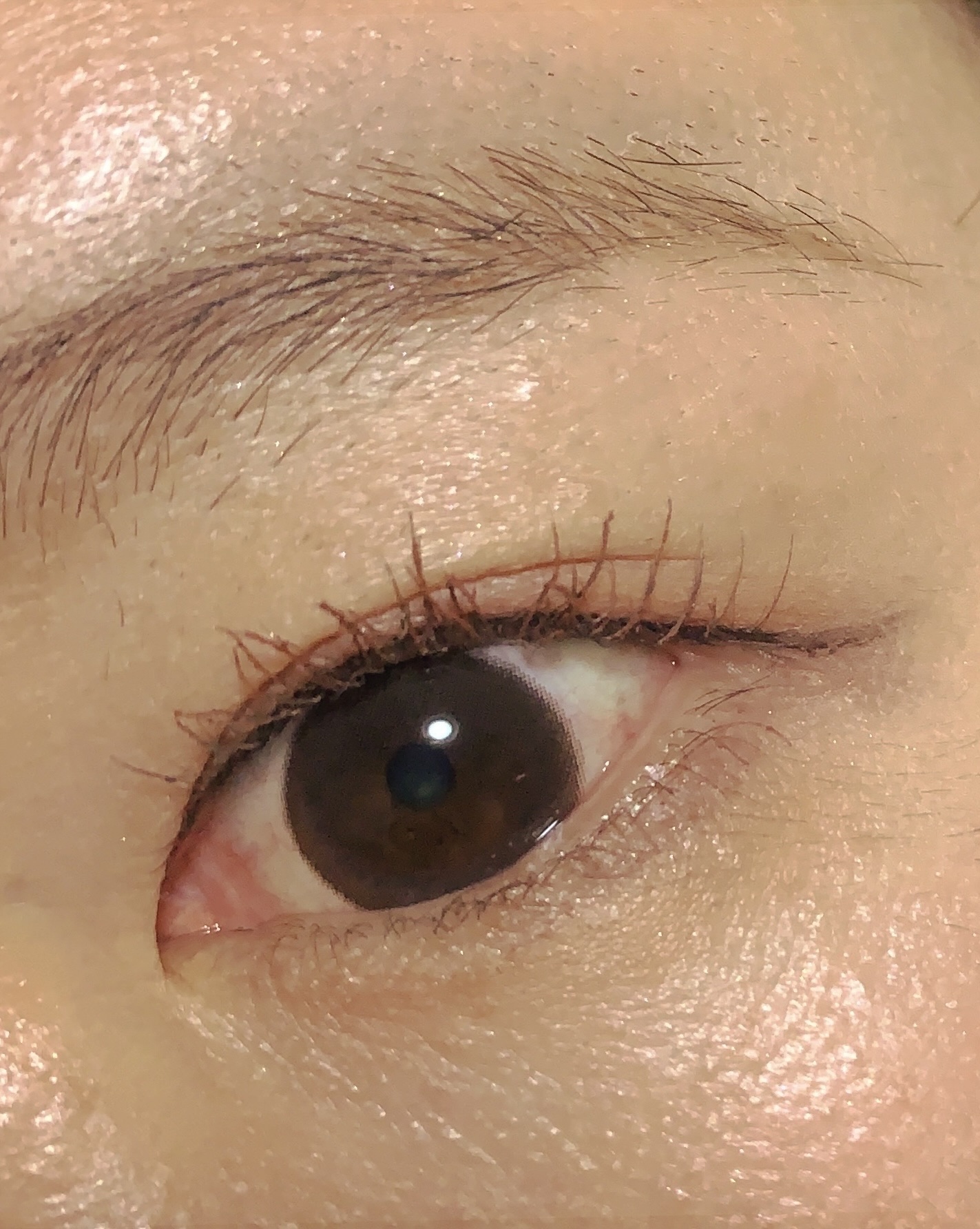 ハンオールフィックスマスカラ/rom&nd/マスカラを使ったクチコミ（2枚目）