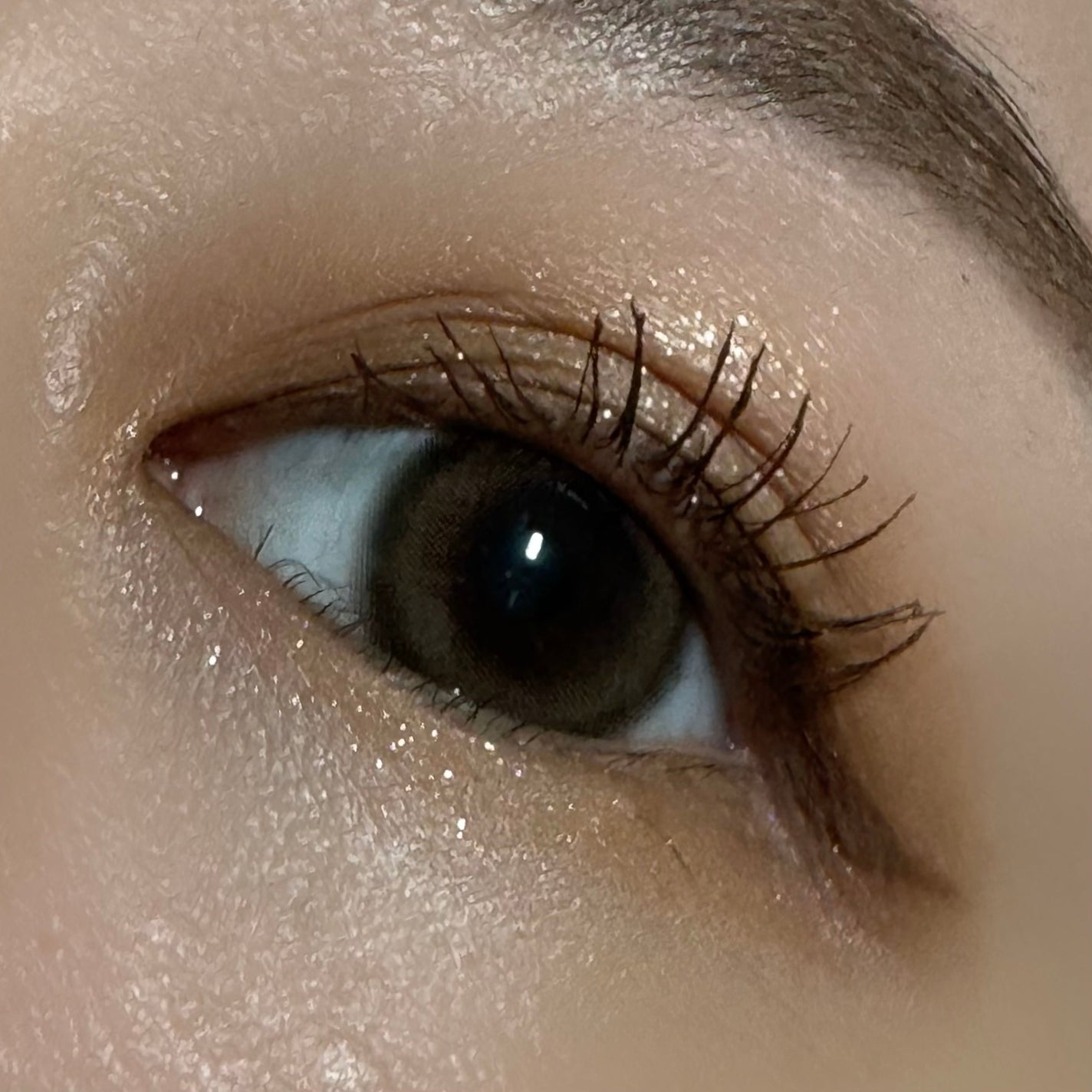 アイカラーレーション/LUNASOL/アイシャドウパレットを使ったクチコミ(2枚目)