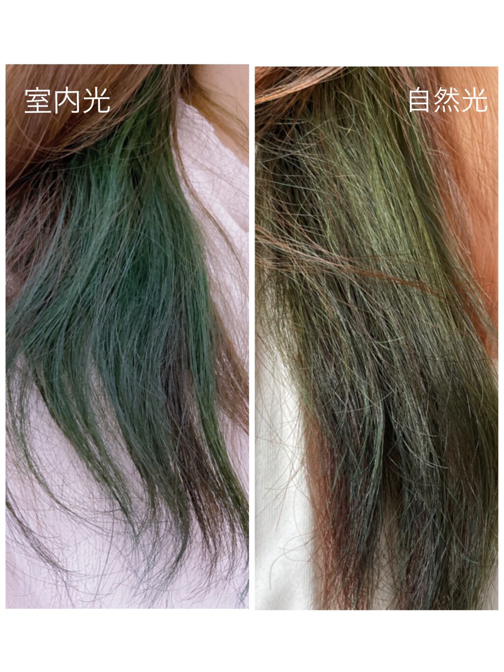 ミルキーヘアカラー ビスケットブラウン/フレッシュライト/ヘアカラーを使ったクチコミ（3枚目）