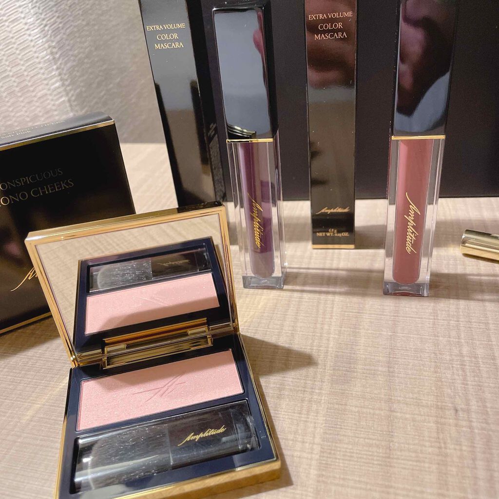 新品未使用 アンプリチュード コンスピキュアス モノ チークス 02