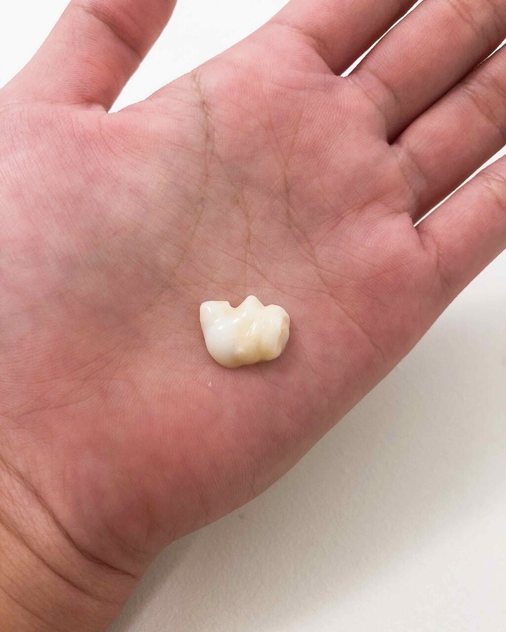 リペアー ゴールデン カプセル ミルク/パンテーン/ヘアミルクを使ったクチコミ(4枚目)