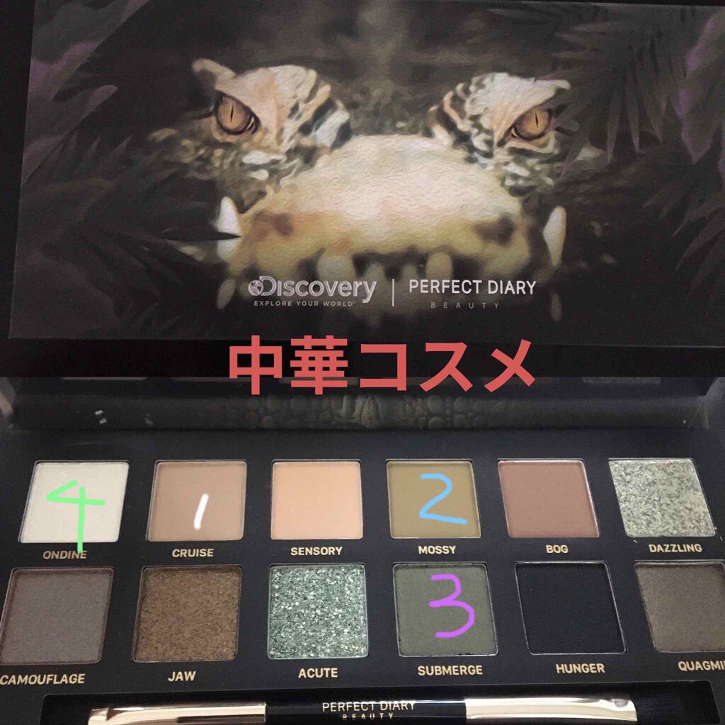 エクスプローラ12色 動物アイシャドウパレット/PERFECT DIARY/アイシャドウパレットを使ったクチコミ（1枚目）