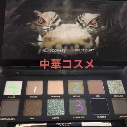 エクスプローラ12色 動物アイシャドウパレット/PERFECT DIARY/アイシャドウパレットを使ったクチコミ(1枚目)