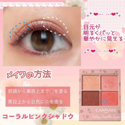 シルキースフレアイズ(マットタイプ)/キャンメイク/アイシャドウパレットを使ったクチコミ(2枚目)