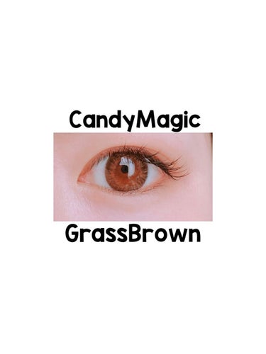 candymagic1dayAQUA（キャンディーマジックワンデーアクア） Glass Brown（グラスブラウン）/candy magic/ワンデー（１DAY）カラコンを使ったクチコミ（2枚目）