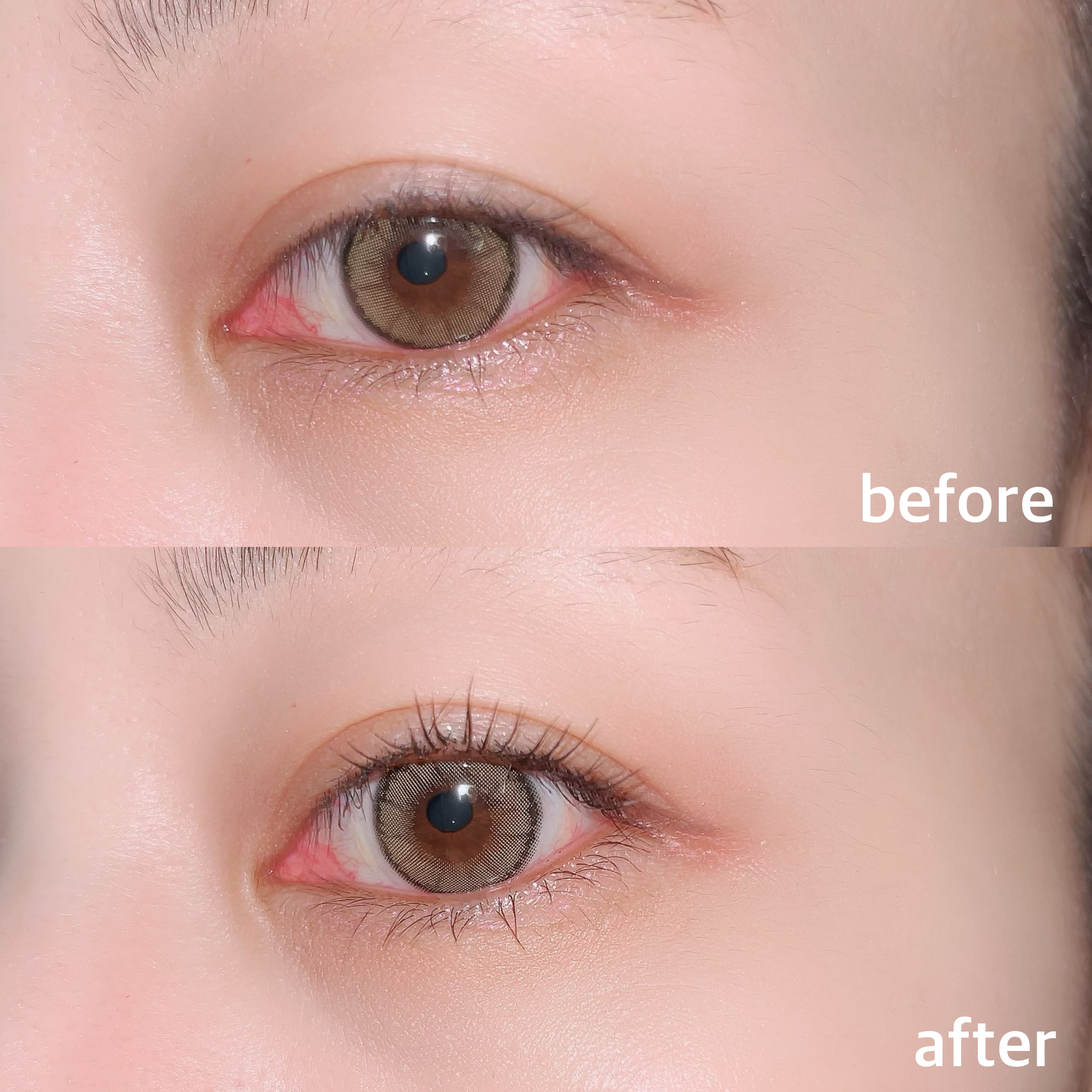 ウォンジョンヨ ヌードアイラッシュ/Wonjungyo/マスカラを使ったクチコミ（2枚目）