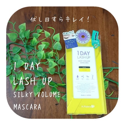 1DAY LASH UP シルキーボリュームマスカラa/K-パレット/マスカラを使ったクチコミ(1枚目)