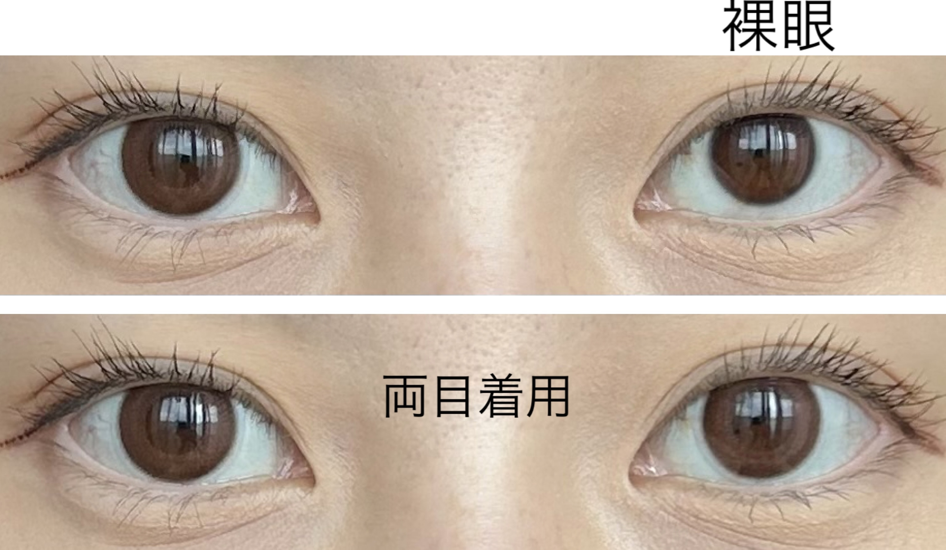 Cheritta 1day/Cheritta/ワンデー（１DAY）カラコンを使ったクチコミ（2枚目）