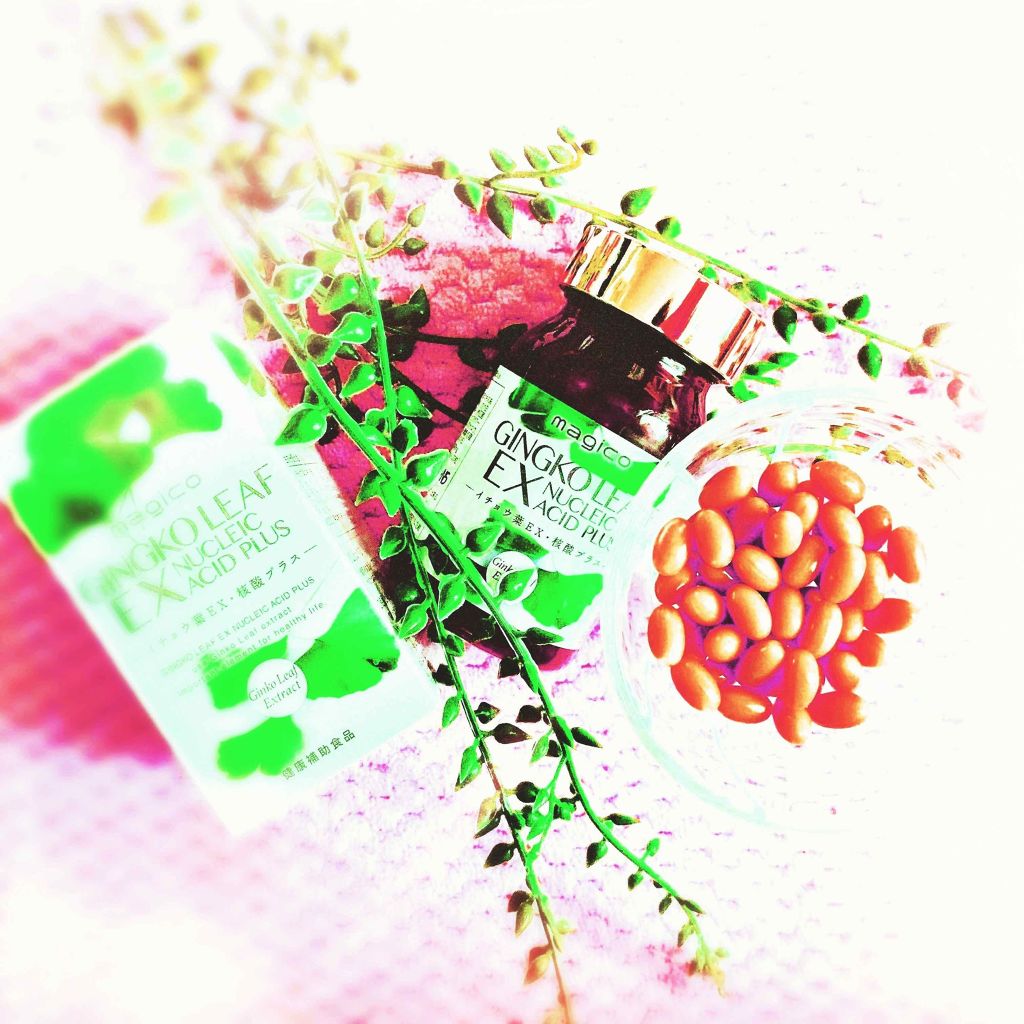 中山式産業 magicoイチョウ葉EX核酸プラス/magico labo/健康サプリメントを使ったクチコミ（1枚目）