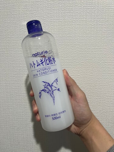 ハトムギ化粧水(ナチュリエ スキンコンディショナー R )/ナチュリエ/化粧水を使ったクチコミ（1枚目）