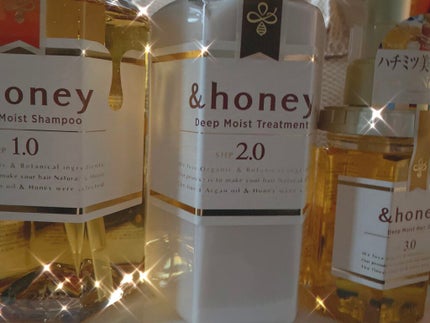 ディープモイスト シャンプー1.0/ヘアトリートメント2.0/&honey/市販シャンプーを使ったクチコミ(1枚目)