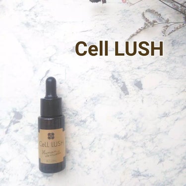 .
.
Cell LUSH
美容液

. . . . . . . . . . . . . . . . . . . . 

高機能成分「ヒト幹細胞培養液」を配合した革新的なエイジングケア※美容液が登場

