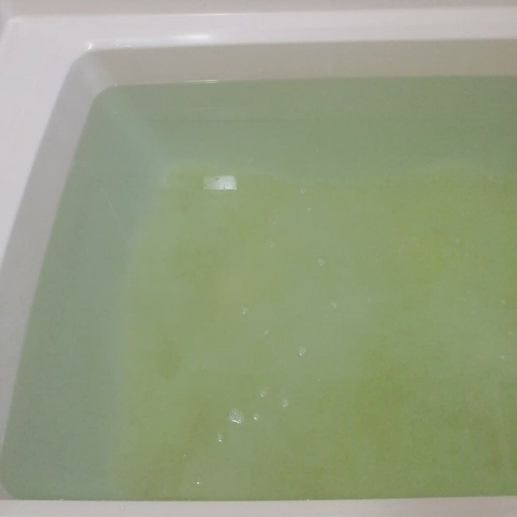 アルポカ温泉郷〜椿の湯〜/アルポカ/無機塩系入浴剤を使ったクチコミ（3枚目）