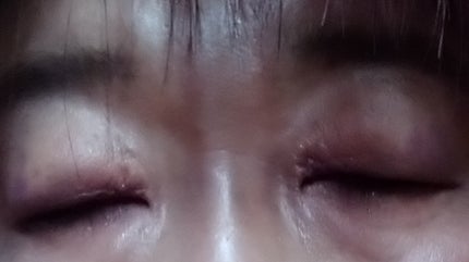 アルバイト熊6色アイシャドウ/xixi/アイシャドウパレットを使ったクチコミ(3枚目)