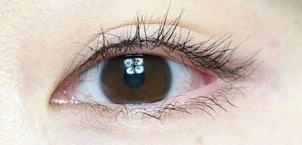 パワフルフィルム マスカラ(ボリューム)/FASIO/マスカラを使ったクチコミ(2枚目)