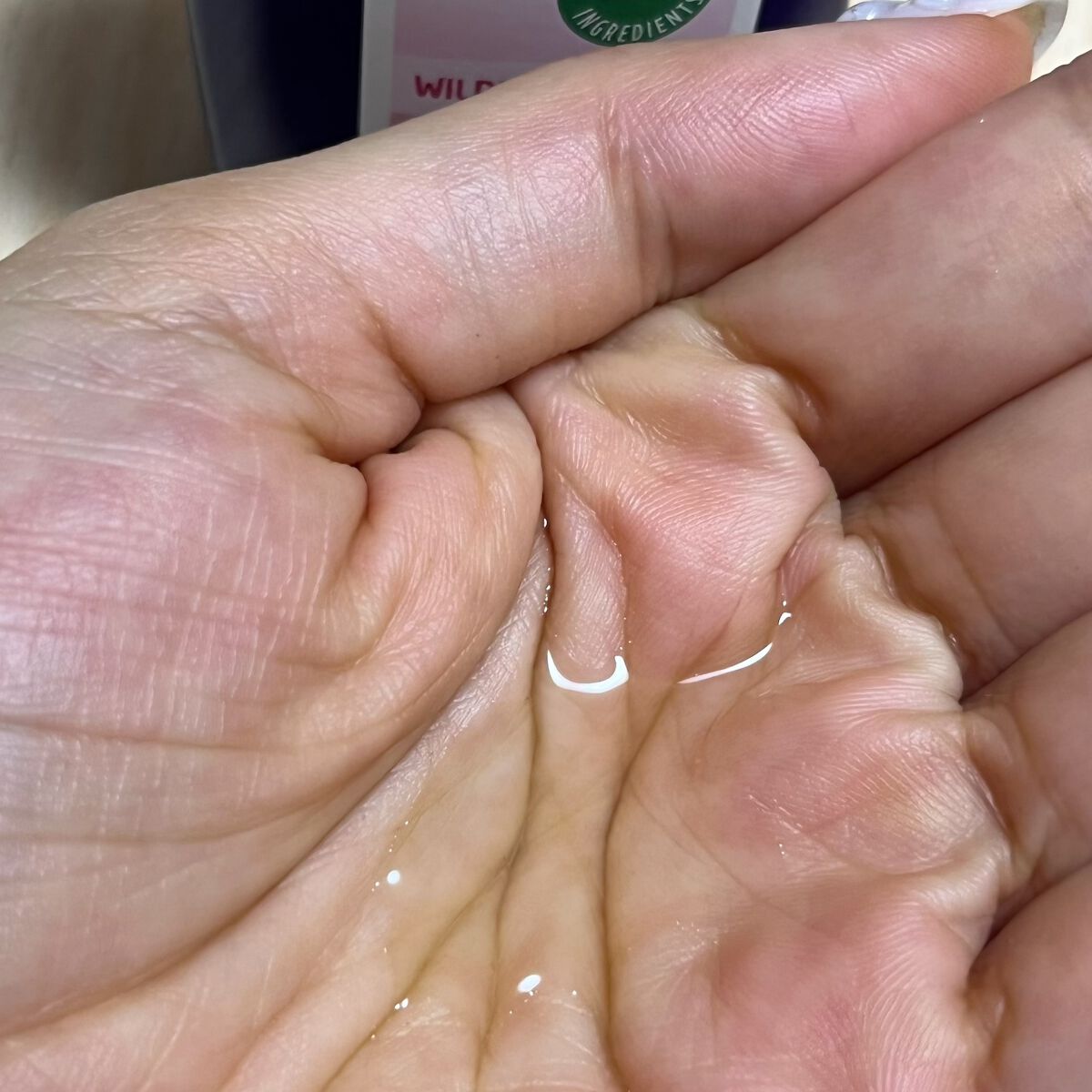 ワイルドローズ モイスチャーローション/WELEDA/化粧水を使ったクチコミ(2枚目)