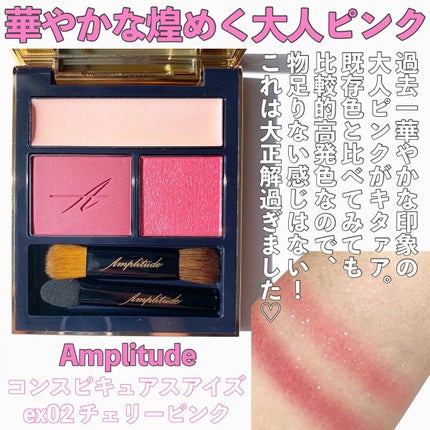 コンスピキュアス アイズ/Amplitude/アイシャドウパレットを使ったクチコミ(3枚目)