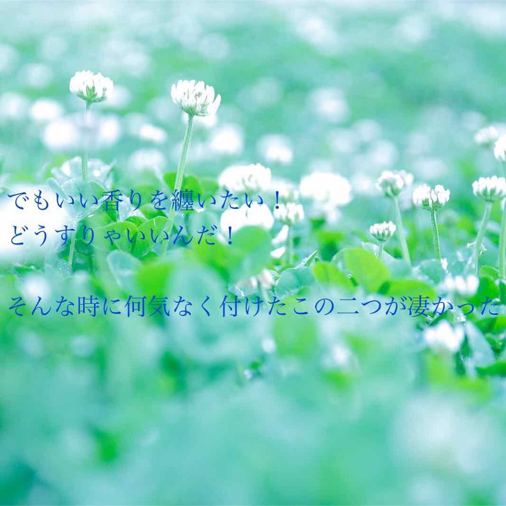 パインアメリップクリーム/ヘソプロダクション/リップケアを使ったクチコミ（3枚目）