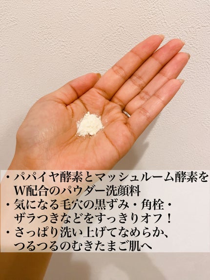 フェイスウォッシュパウダー/アーティストリー/洗顔パウダーを使ったクチコミ(3枚目)
