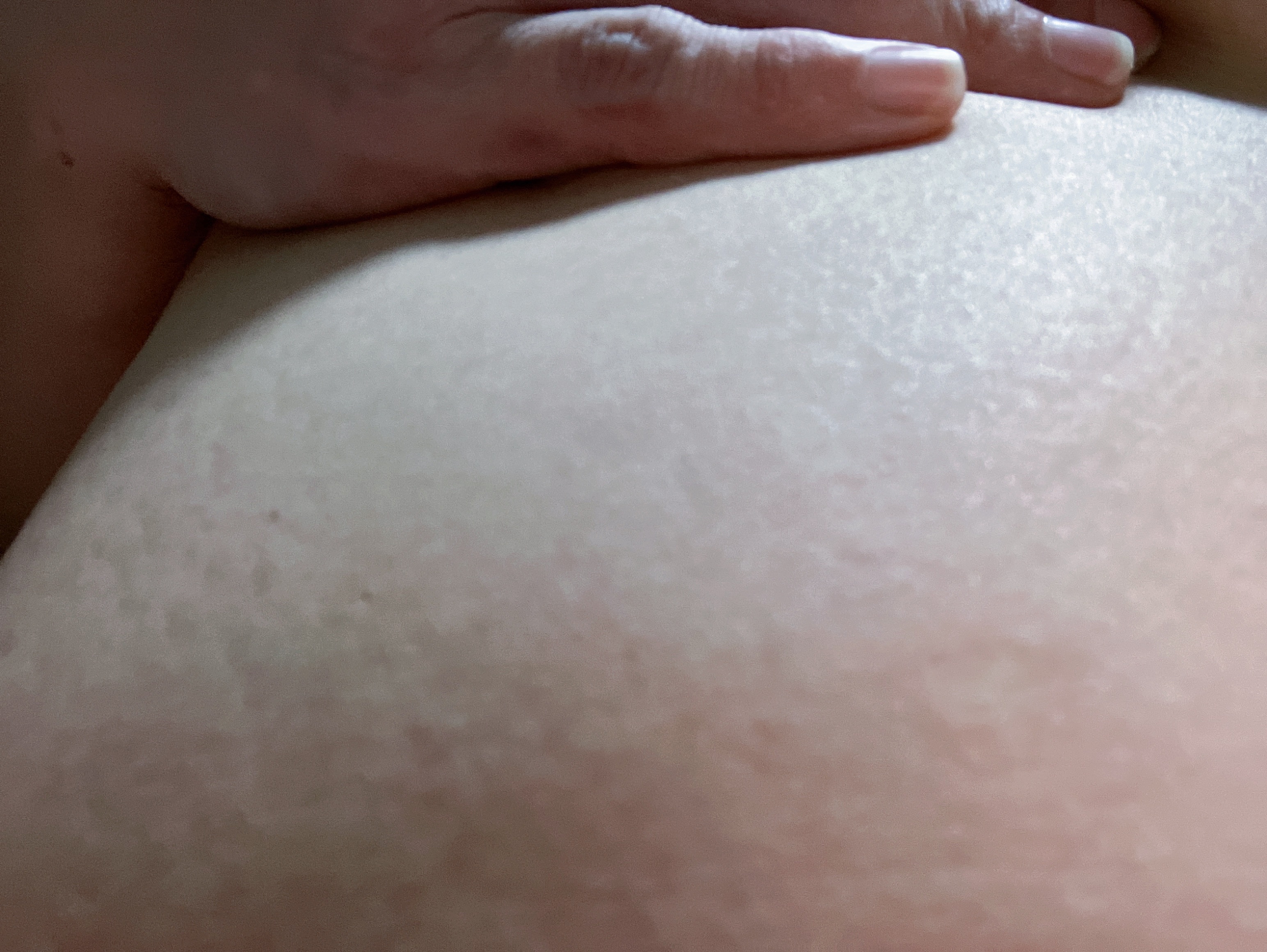 ミテラオーガニクスボディケアクリーム 微香性/mitera organics/ボディクリームを使ったクチコミ（2枚目）