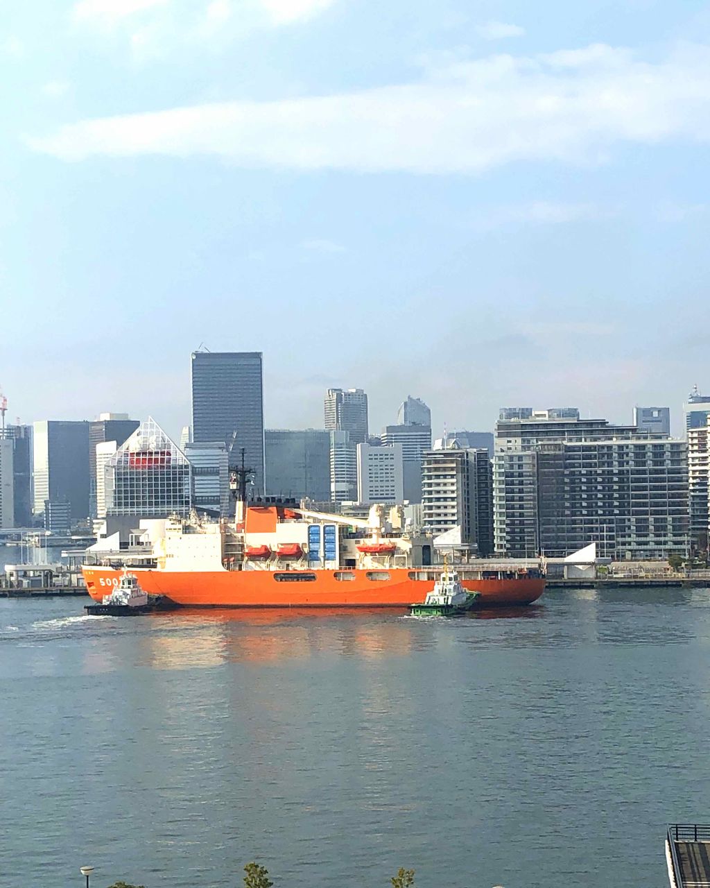 【旧】ディオール アディクト リップ マキシマイザー/Dior/リップグロスを使ったクチコミ（1枚目）