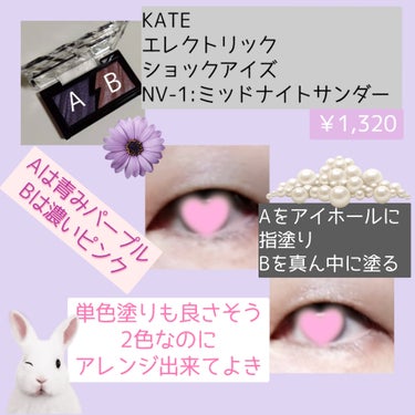 エレクトリックショックアイズ /KATE/アイシャドウパレットを使ったクチコミ（2枚目）