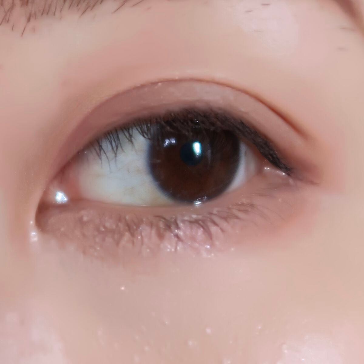 シルキースフレアイズ(マットタイプ)/キャンメイク/アイシャドウパレットを使ったクチコミ(4枚目)