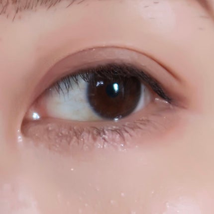 シルキースフレアイズ(マットタイプ)/キャンメイク/アイシャドウパレットを使ったクチコミ(4枚目)