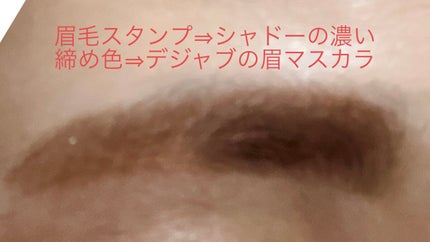 フィルム眉カラー/デジャヴュ/眉マスカラを使ったクチコミ(4枚目)
