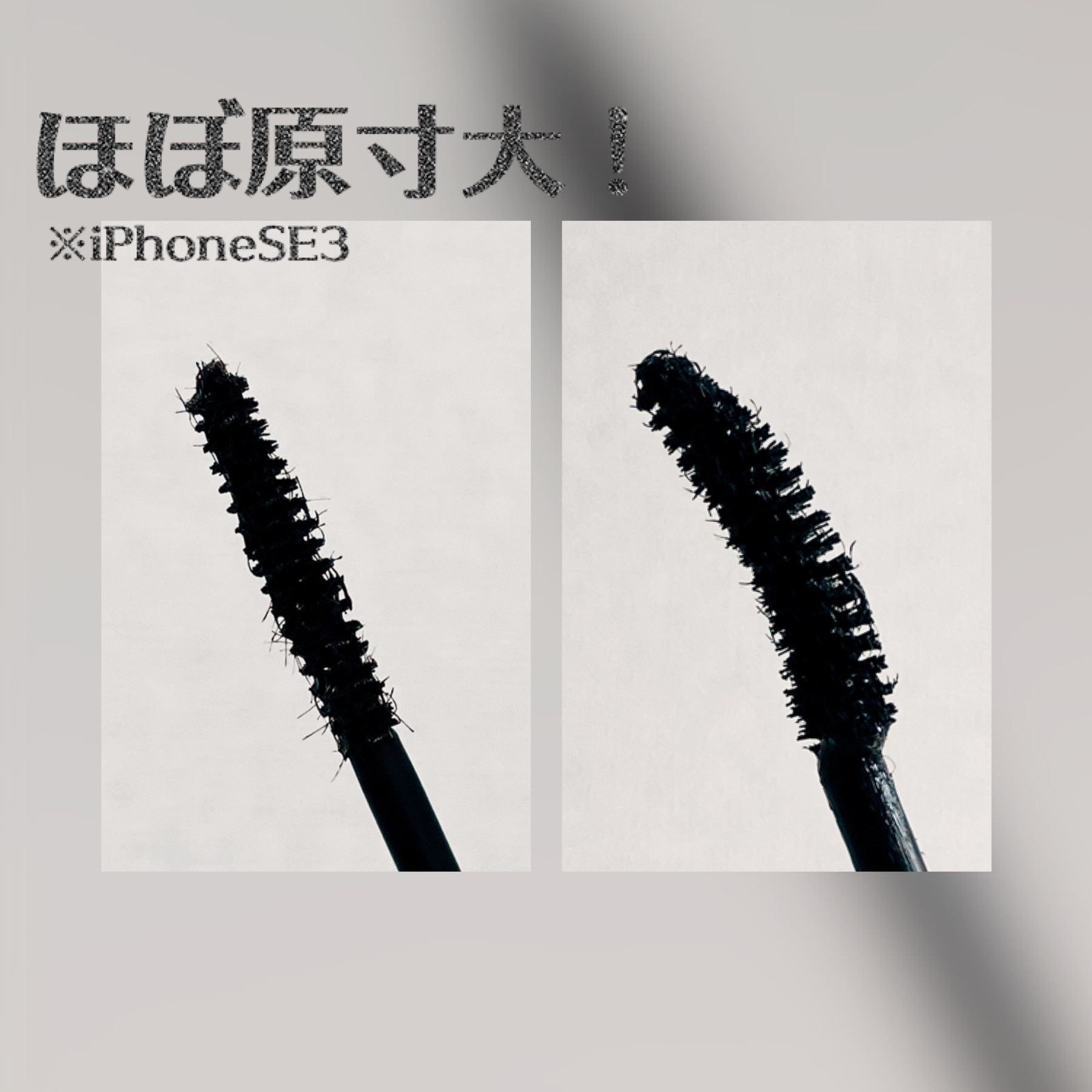 パーマネントカール フィクサー WP/FASIO/マスカラ下地を使ったクチコミ（2枚目）