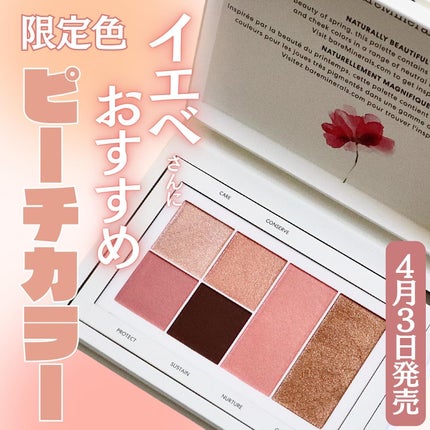 エコ ビューティフル コレクション 2024 アイ& チークパレット ナチュラリービューティフル/bareMinerals/パウダーアイシャドウを使ったクチコミ(1枚目)