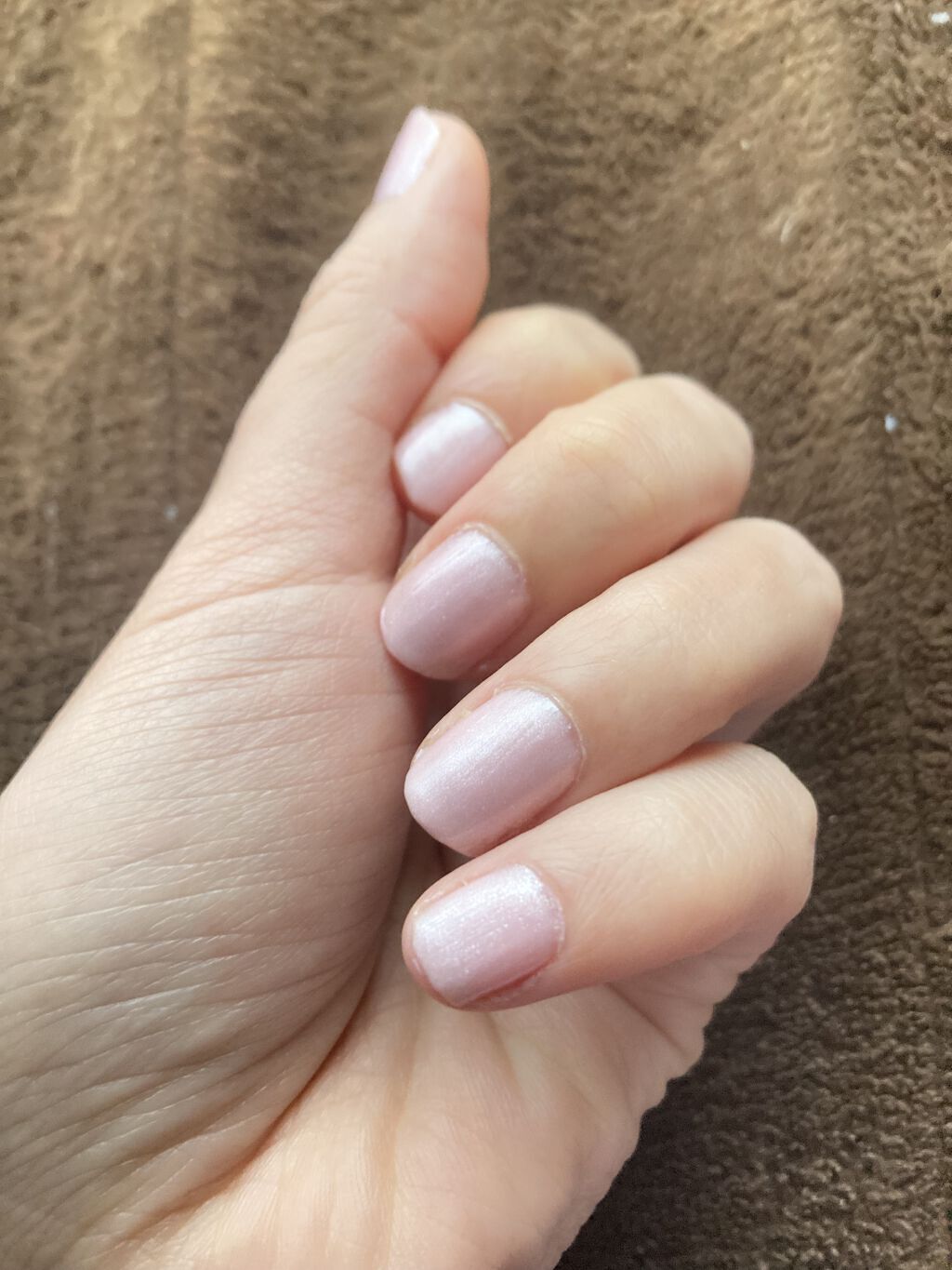 sacra  オールインワンカラージェル/sacra/ジェルネイルを使ったクチコミ（2枚目）