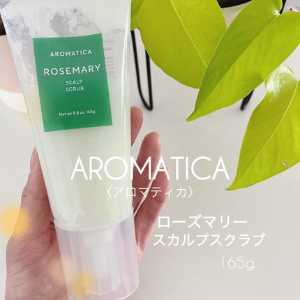 ローズマリー スカルプ スクラブ/AROMATICA/ヘッドスクラブを使ったクチコミ(1枚目)