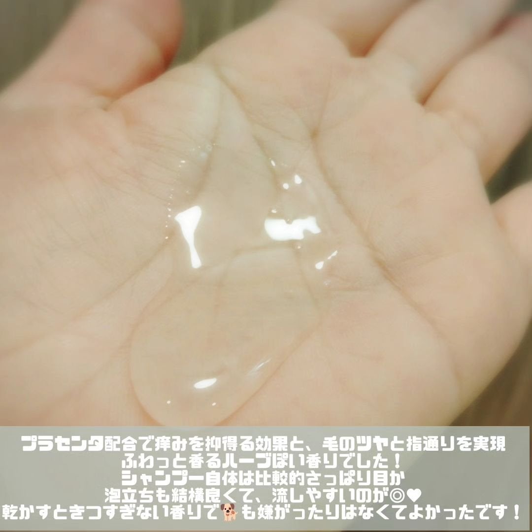 くうたろ on LIPS 「皮膚に優しいペット用育毛シャンプーマリーチトゥデイをコエタスさ..」(2枚目)