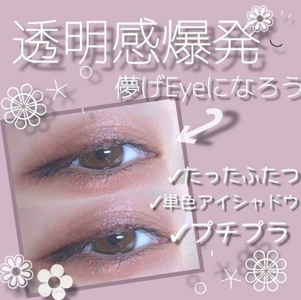 シャドーカスタマイズ/MAJOLICA MAJORCA/単色アイシャドウを使ったクチコミ(1枚目)